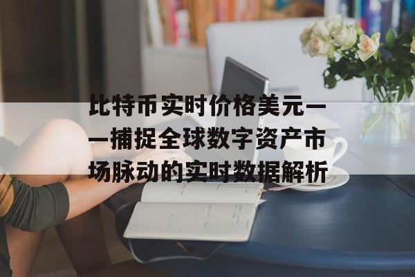 比特币实时价格美元——捕捉全球数字资产市场脉动的实时数据解析